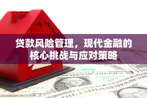 明光贷款风险管理，现代金融的核心挑战与应对策略