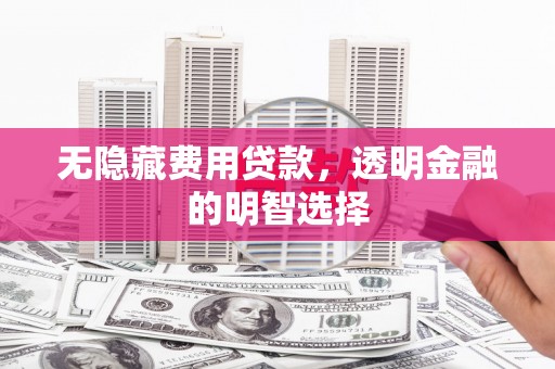 明光无隐藏费用贷款，透明金融的明智选择
