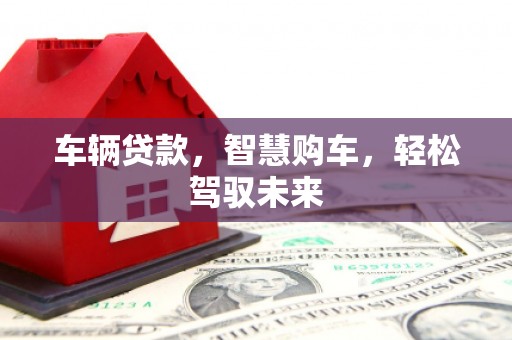 明光车辆贷款，智慧购车，轻松驾驭未来