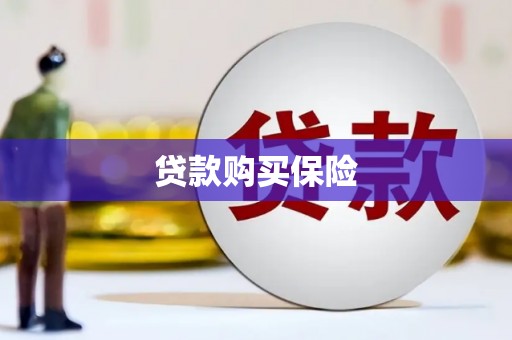 明光贷款购买保险