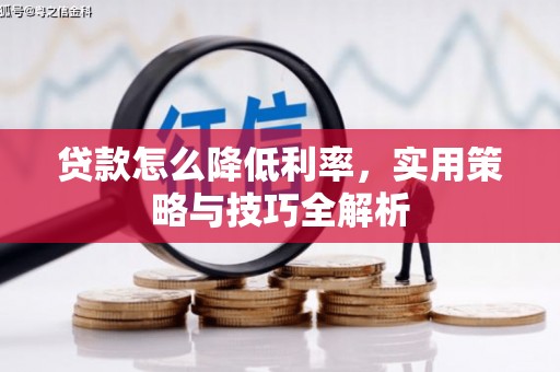 明光贷款怎么降低利率，实用策略与技巧全解析