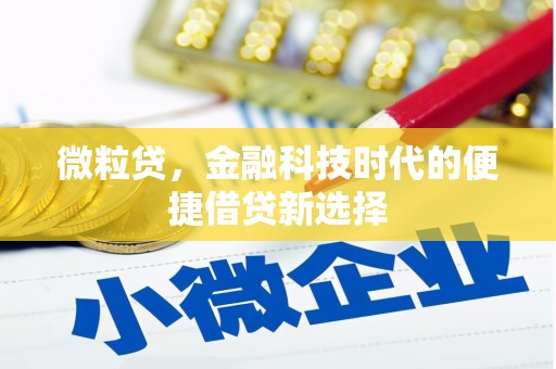 明光微粒贷，金融科技时代的便捷借贷新选择