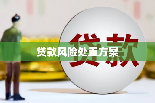 明光贷款风险处置方案