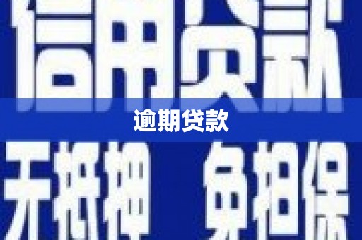 明光逾期贷款
