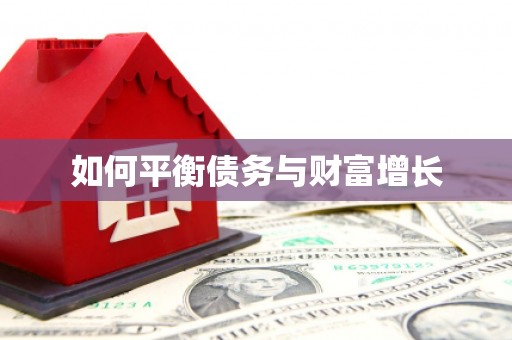 明光如何平衡债务与财富增长